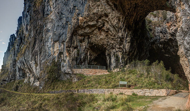 Entrance to Castle Cave, Yarrangobilly Caves, Kosciuszko National Park. Photo: Murray Vanderveer