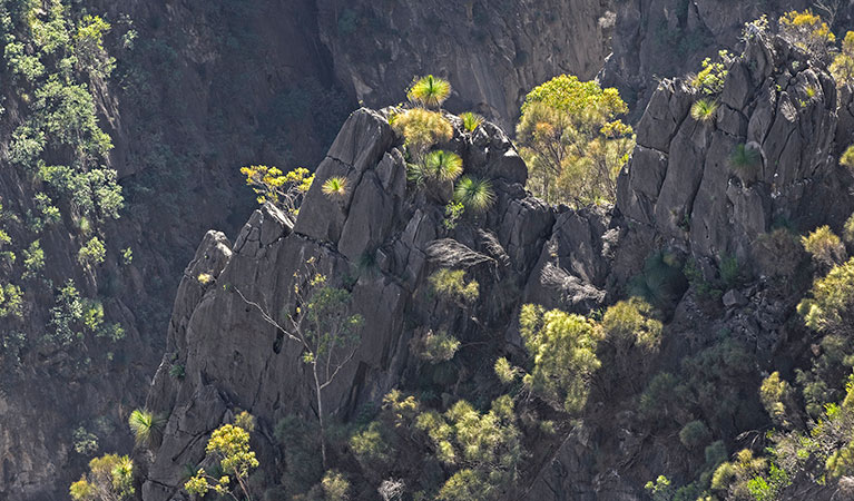 Adams lookout, Bungonia National Park. Photo: Ford Kristo