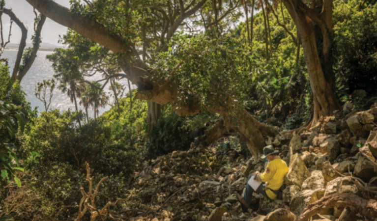 NPWS staff monitor Gould's petrels at Cabbage Tree Island. Photo: John Spencer &copy; DPIE