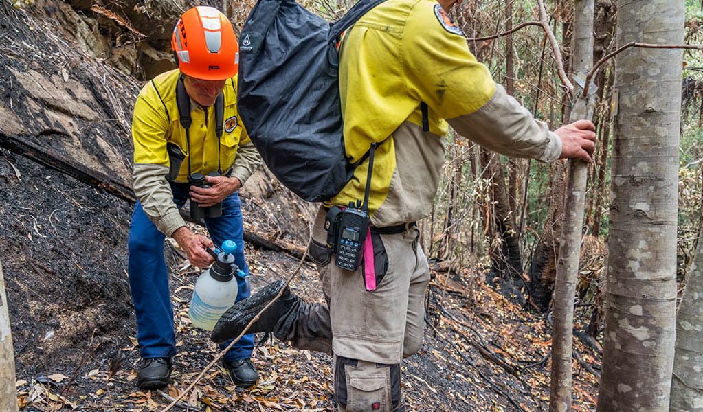 NPWS essential personnel spray footwear to prevent invasive weeds and pathogens. Photo: John Spencer &copy; DPE