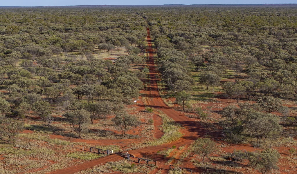 Aerial view of long red dirt road surrounded by mulga woodland, Brindingabba National Park. Photo: Joshua Smith &copy; DCCEEW