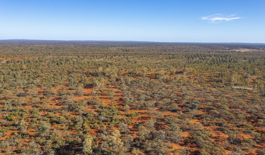 Aerial view of the red earth and sparse bushland of Koonaburra National Park stretching to the horizon. Photo: Joshua Smith &copy; DCCEEW