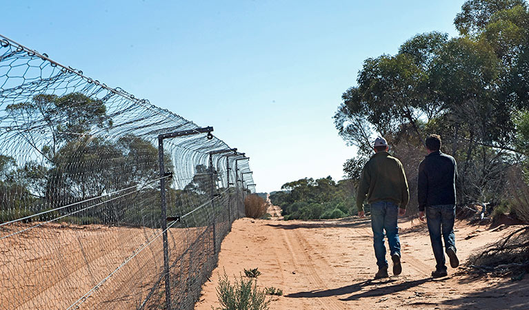 Supplementary pest control. Photo: Stuart Cohen