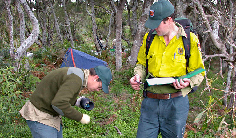 Field officers working on location. Photo: Nicholas Carlile