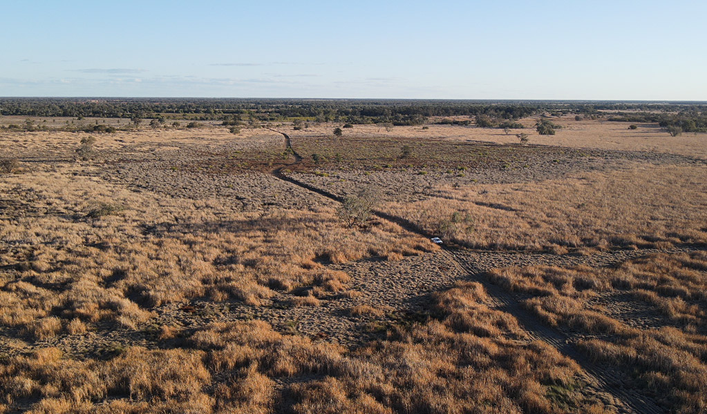 An aerial view of a supplementary pest control program vehicle driving through a natural landscape. &copy; DCCEEW