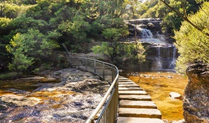 Charles Darwin walk, Blue Mountains National Park. Photo: Steve Alton