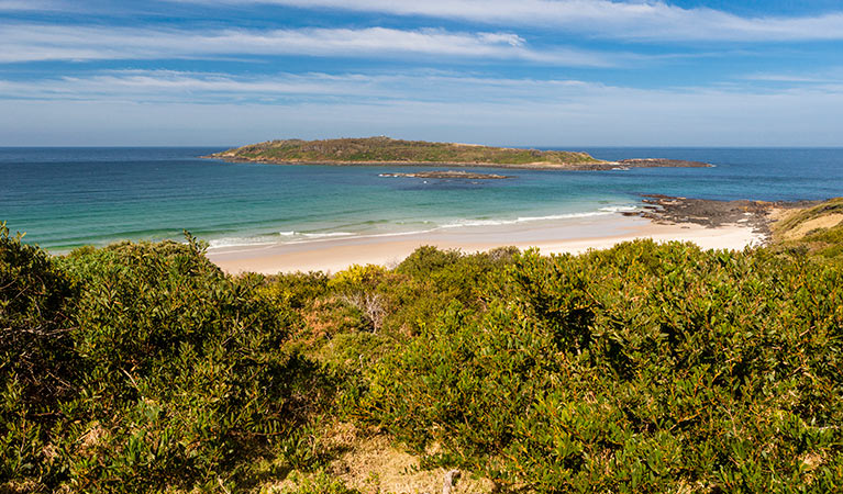  Murramarang Aboriginal Area. Photo: Lucas Boyd