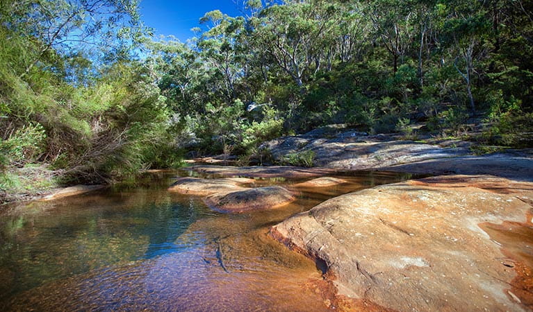 Two Dams picnic area. Beni State Conservation Area. Photo: M Bannerman