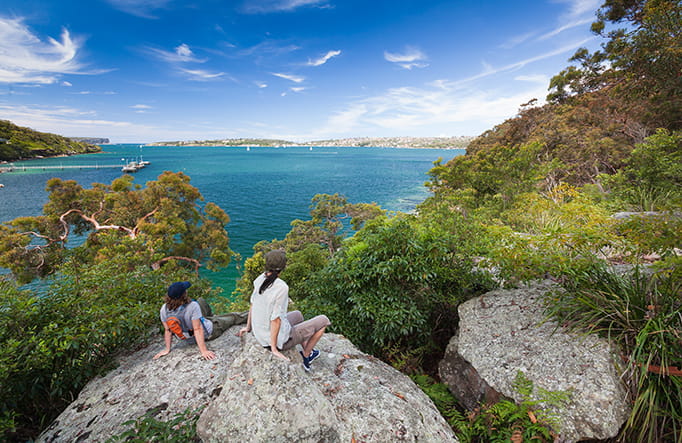 Looking across Sydney Harbour National Park. Photo: David Finnegan