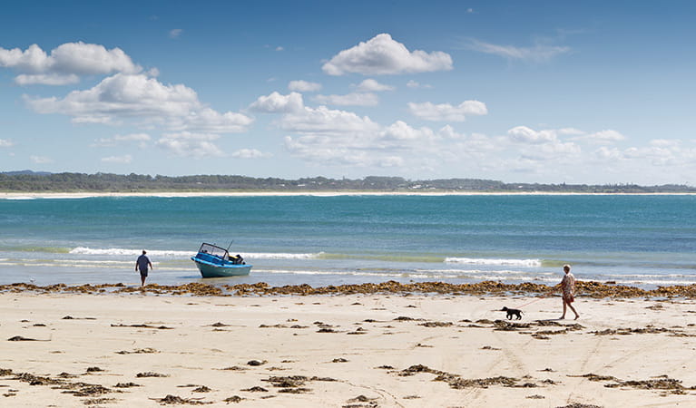 Arrawarra Beach, Coffs Coast Regional Park. Photo: Rob Cleary