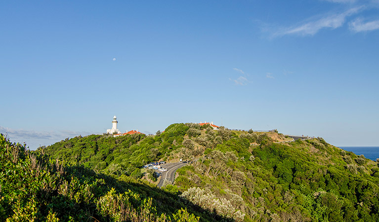 Cosy Corner lookout, Cape Byron State Conservation Area. Photo: John Spencer