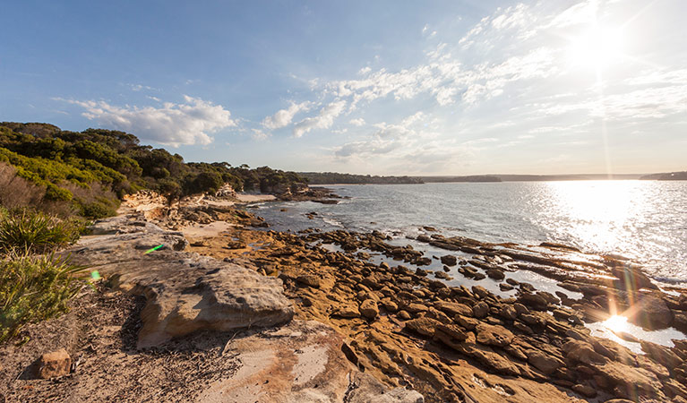 Jibbon Head, Royal National Park. Photo: David Finnegan