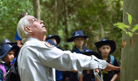 An Aboriginal guide taking students on a bushwalk on an Aboriginal culture school excursion in Blue Gum Hills Regional Park. Photo: Adam Hollingworth &copy; DPIE