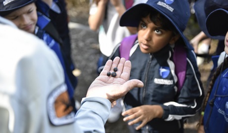 Students on a school excursion are shown local native edible plants. Photo: Adam Hollingworth &copy; DPIE