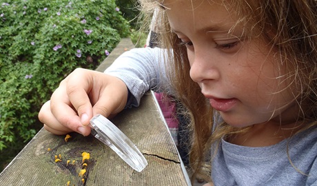 WilderQuest activity, Blue Gum Hills Regional Park. Photo: Shani Milgate/OEH