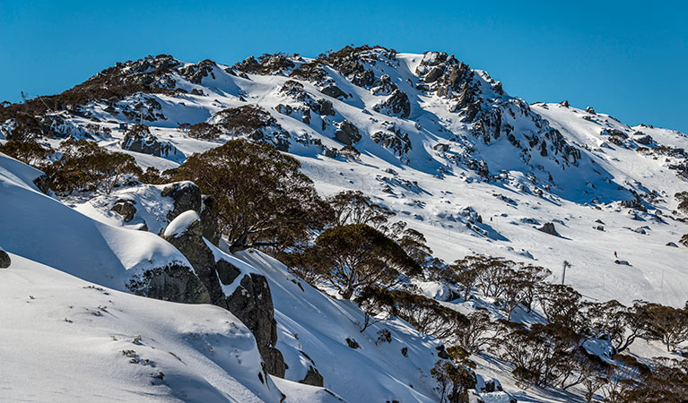 Kosciuszko National Park. Photo: John Spencer