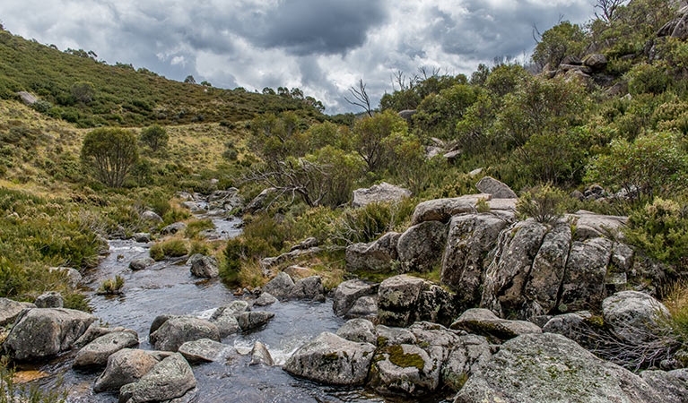 Pipers Creek trail, Kosciuszko National Park. Photo: John Spencer