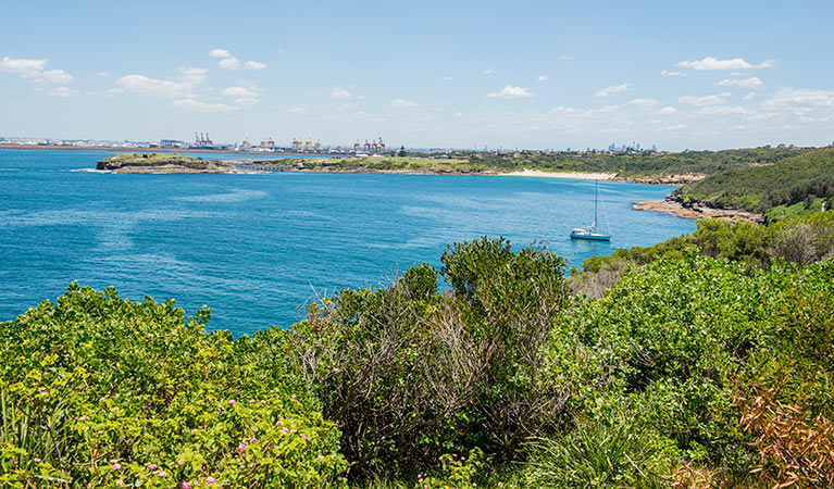 Henry Head track, Kamay Botany Bay National Park. Photo: John Spencer