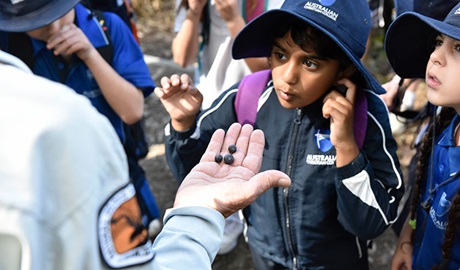 Students listening to an Aboriginal guide on a Bush art school excursion in Blue Gum Hills Regional Park. Photo: Adam Hollingworth &copy; DPIE