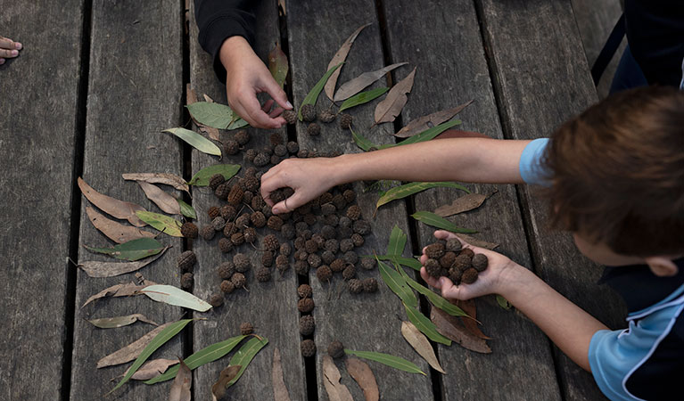 Students creating bush art using found materials on a school excursion in Blue Gum Hills Regional Park. Photo: Elana Clark &copy; DPIE