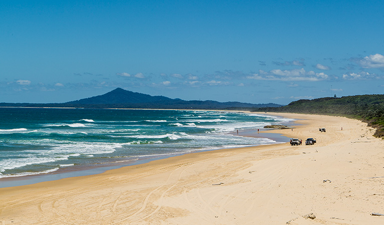 Bongil beach, Bongil Bongil National Park. Photo: Rob Cleary