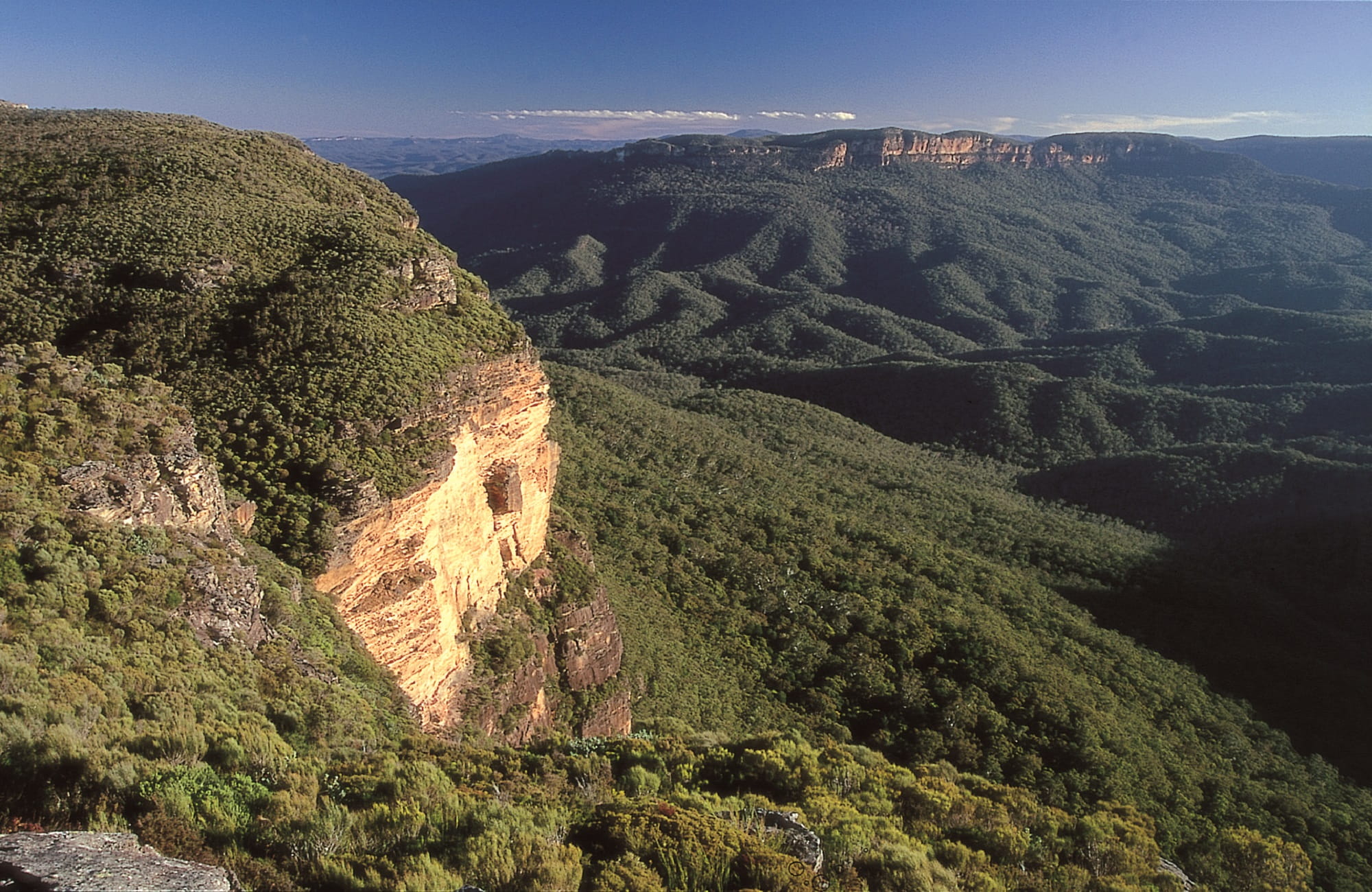 Blue Mountains National Park. Photo: Jeremy Little/OEH