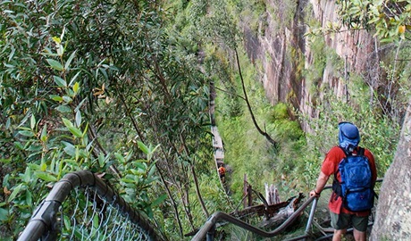 People descending Govetts Leap, Blue Mountains National Park. Photo: Aine Gliddon