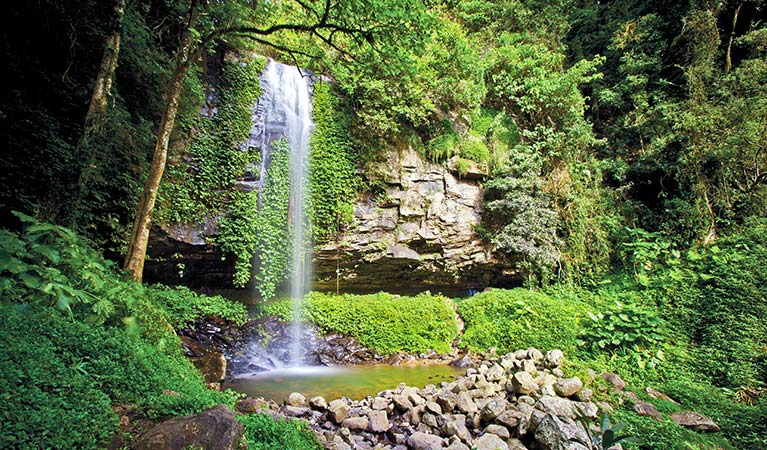 Crystal Shower Falls, Dorrigo National Park. Photo: Rob Cleary/Seen Australia