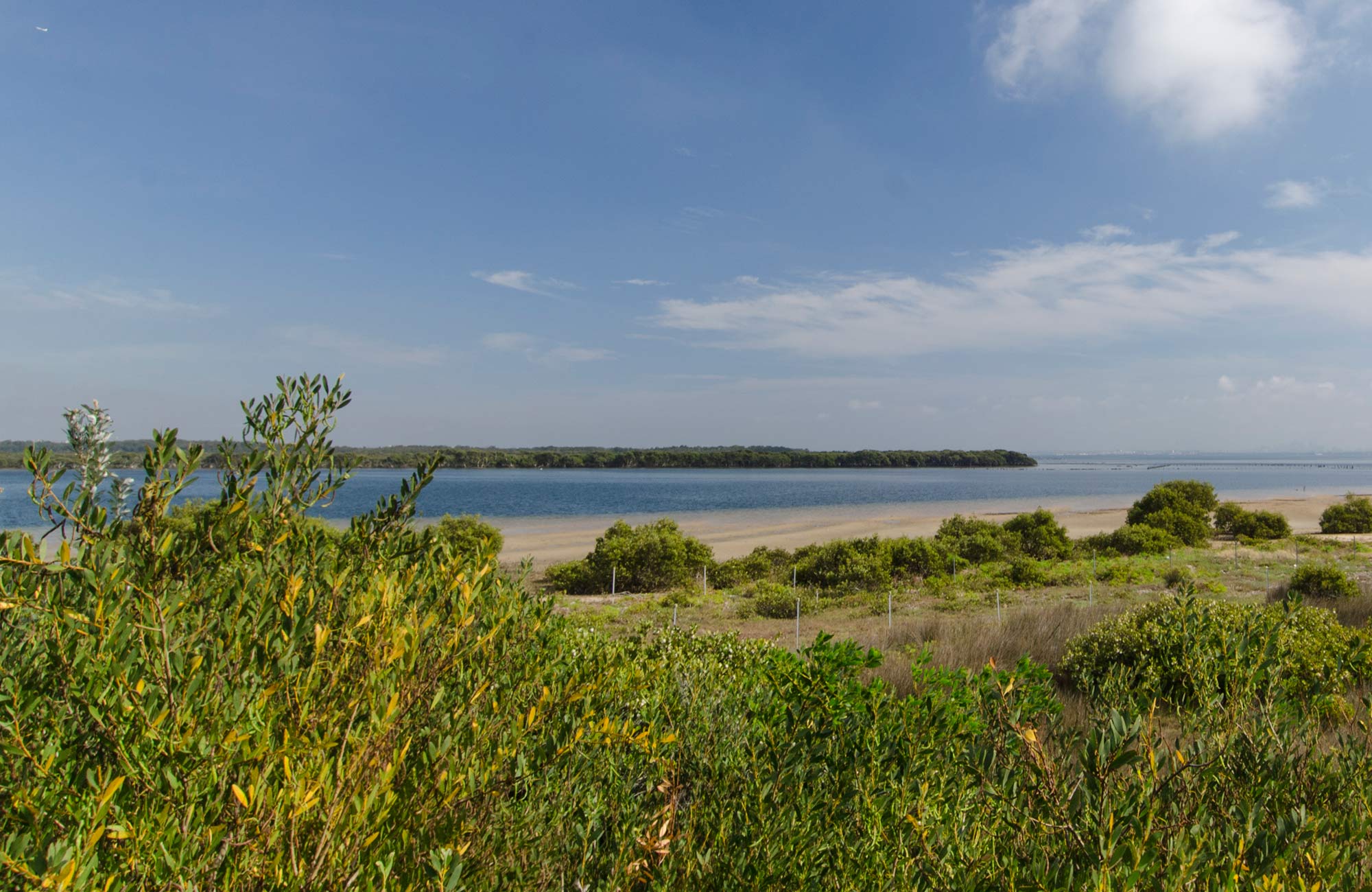 Quibrary Bay viewing platform, Towra Point Nature Reserve. Photo: John Spencer