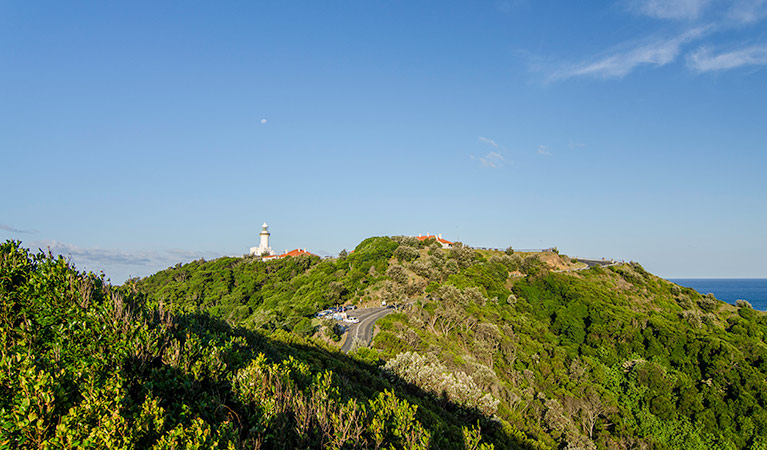 View of Cape Byron State Conservation Area. Photo: John Spencer