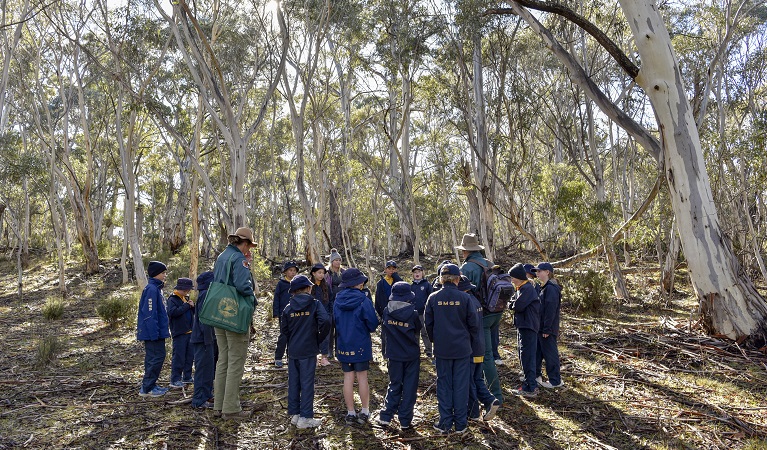 Primary school students on an excursion in Kosciuszko National Park. Photo: Adam Hollingworth &copy DPIE