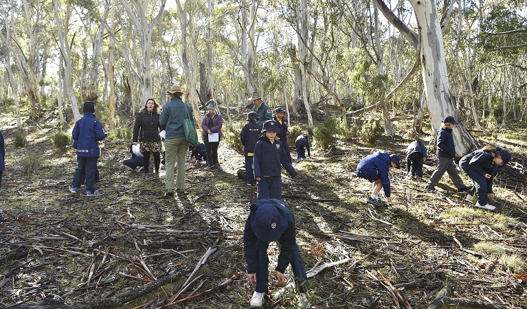 Primary school students on an excursion in Kosciuszko National Park. Photo: Adam Hollingworth &copy DPIE