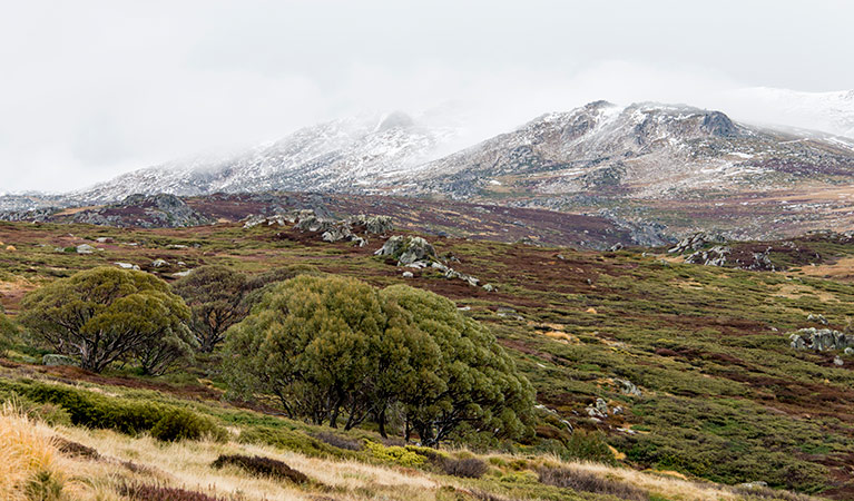 Kosciuszko Summit, Kosciuszko National Park. Photo: John Spencer
