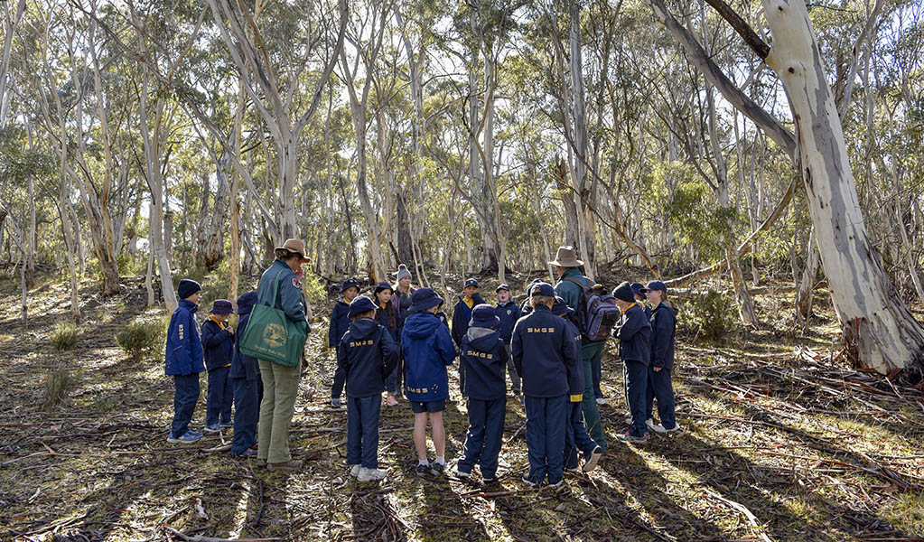 A group of students participating in an activity in Kosciuszko National Park. Photo: Adam Hollingworth &copy; DPE