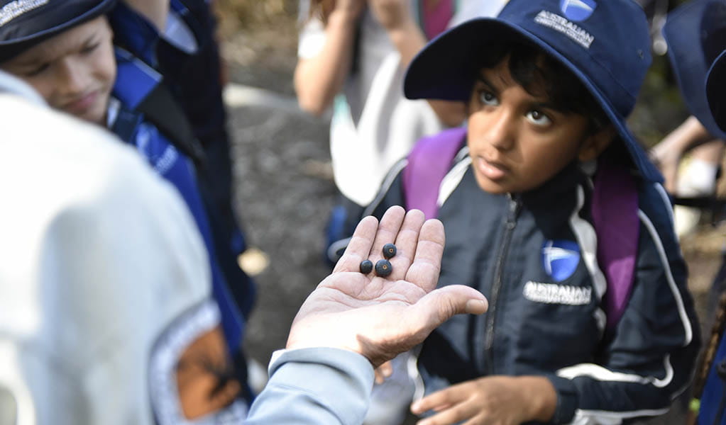 A student listening to an NSW National Parks guide during a school excursion. Photo: Adam Hollingworth &copy; DPE