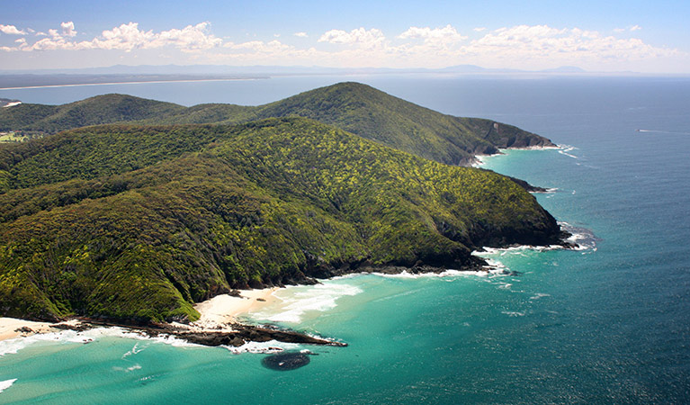 Cape Hawk, Booti Booti National Park. Photo: Shane Chalker