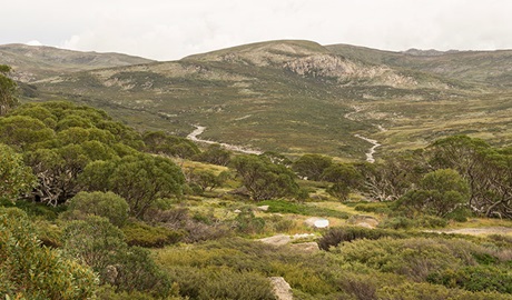 Charlottes Pass lookout, Kosciuszko National Park. Photo: John Spencer