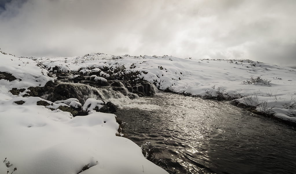 Snow covered ground at Three Mile Creek in Kosciuszko National Park. Photo: Murray Vanderveer &copy; DPE
