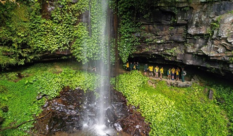 A class of Year 12 students behind Crystal Shower Falls, Dorrigo National Park. Photo: Adam Hollingworth/DCCEEW &copy; DCCEEW
