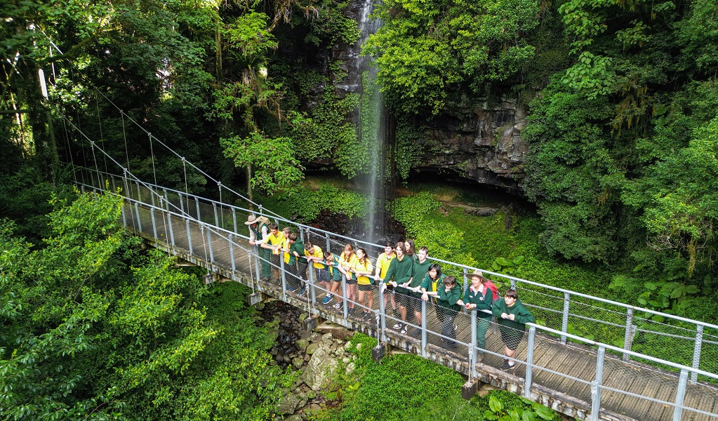 Students and rangers pause on a suspension bridge to take in the lush green rainforest environment, Dorrigo National Park. Photo: Adam Hollingworth/DCCEEW &copy; DCCEEW