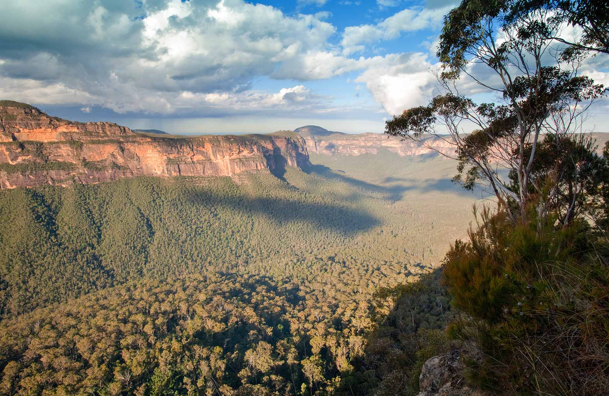 School excursion: Grand Canyon environmental change | NSW National Parks