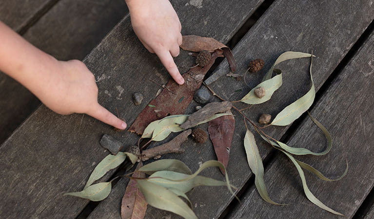An overhead shot of students' hands pointing to found objects on a Caring for our special places school incursion. Photo: Adam Hollingworth, Hired Gun Photography &copy; DPIE