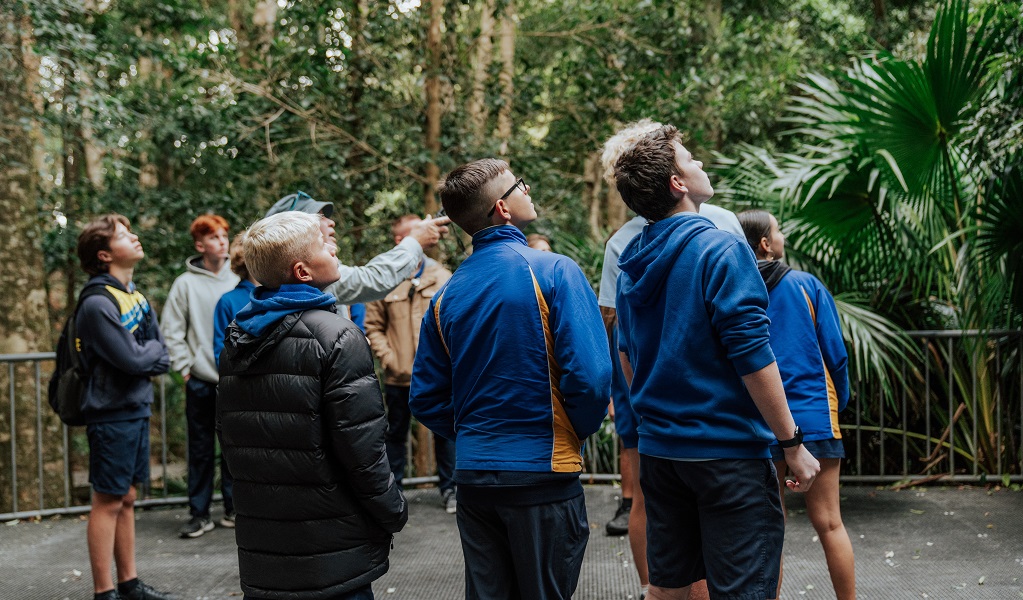 Students learning about plant and animal adaptations in Minnamurra Rainforest. Credit: Remy Brand &copy; DCCEEW