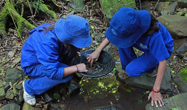 Looking for gold in the pan, Copeland Tops State Conservation Area. Photo: Shani Milgate/OEH