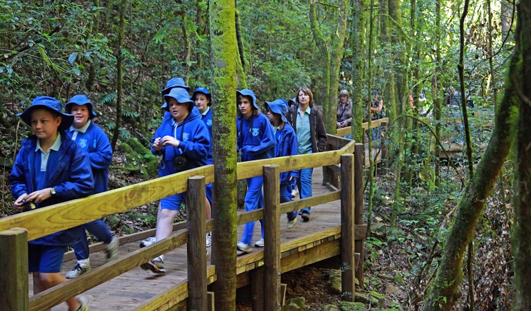 Students and teachers walking in Copeland Tops State Conservation Area. Photo: Shani Milgate/OEH