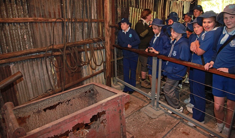 Students learn about the processes involved in gold mining. Photo: Shani Milgate/OEH