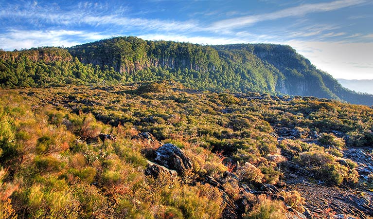 Wrights Lookout, New England National Park. Photo: S Ruming