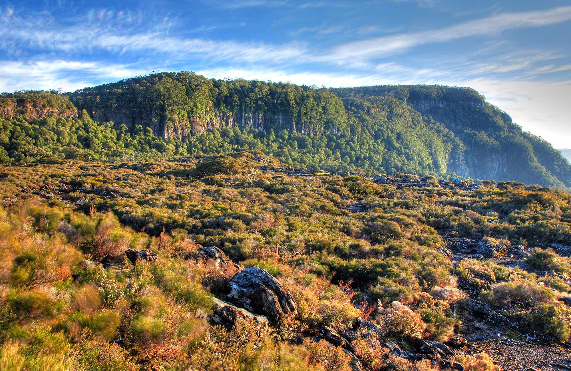 Wrights Lookout, New England National Park. Photo: S Ruming