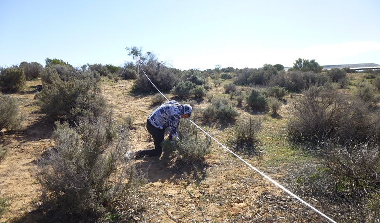 Students soil testing in Kinchega National Park. Photo: OEH