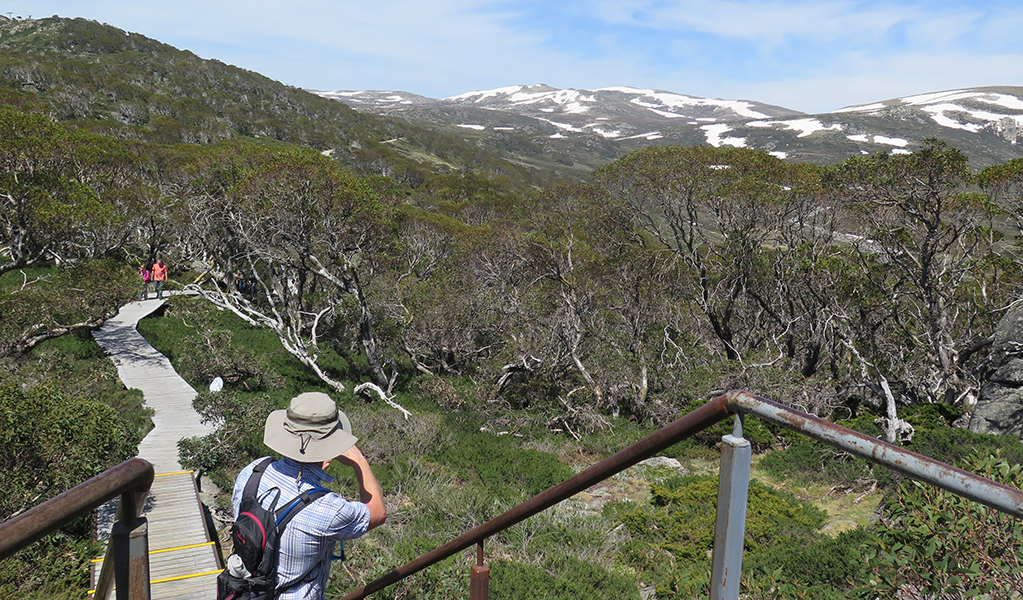 Views from the Snow Gums boardwalk in Kosciuszko National Park. Photo: E Sheargold &copy; DPE